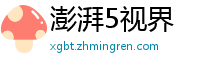 澎湃5视界